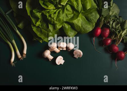 Frisch gepflücktes grünes und gesundes Gemüse und Pilze auf grünem Hintergrund im frühen Frühjahr. Stockfoto