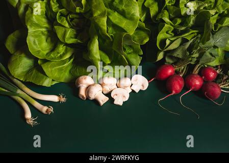 Frisch gepflücktes grünes und gesundes Gemüse und Pilze auf grünem Hintergrund im frühen Frühjahr. Stockfoto