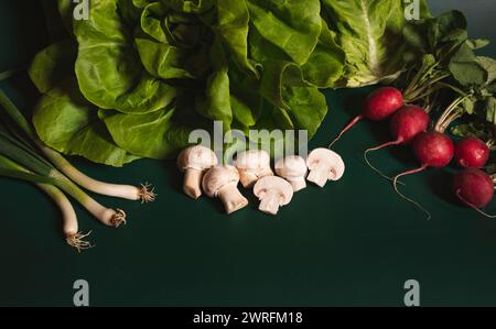 Frisch gepflücktes grünes und gesundes Gemüse und Pilze auf grünem Hintergrund im frühen Frühjahr. Stockfoto