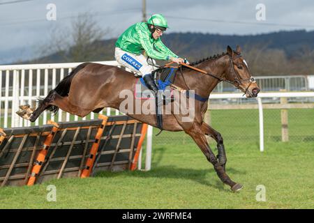 Viertes Rennen in Wincanton, 3. Februar 2022 Stockfoto