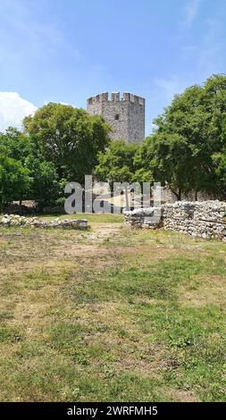 Einsame Burg in einer waldreichen Gegend an einem sonnigen Tag am Stadtrand Stockfoto