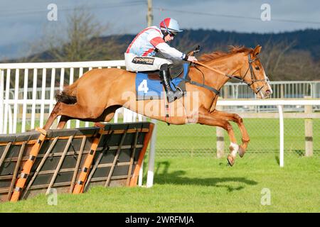 Viertes Rennen in Wincanton, 3. Februar 2022 Stockfoto