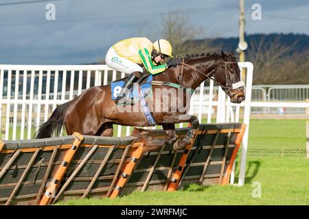 Viertes Rennen in Wincanton, 3. Februar 2022 Stockfoto