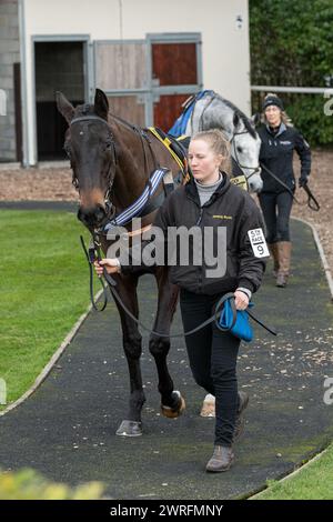 Fünfter Lauf in Wincanton, 3. Februar 2022: Die Novizen der Peckmoor Farm Lodges Stockfoto