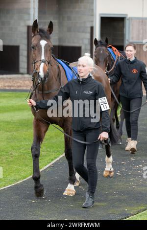 Fünfter Lauf in Wincanton, 3. Februar 2022: Die Novizen der Peckmoor Farm Lodges Stockfoto