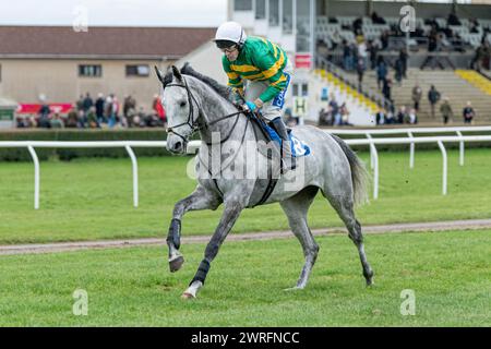 Fünfter Lauf in Wincanton, 3. Februar 2022: Die Novizen der Peckmoor Farm Lodges Stockfoto