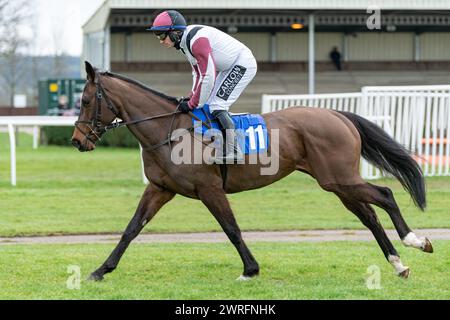 Fünfter Lauf in Wincanton, 3. Februar 2022: Die Novizen der Peckmoor Farm Lodges Stockfoto