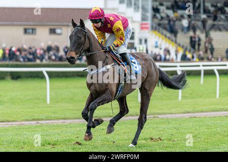 Fünfter Lauf in Wincanton, 3. Februar 2022: Die Novizen der Peckmoor Farm Lodges Stockfoto