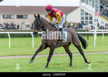 Fünfter Lauf in Wincanton, 3. Februar 2022: Die Novizen der Peckmoor Farm Lodges Stockfoto