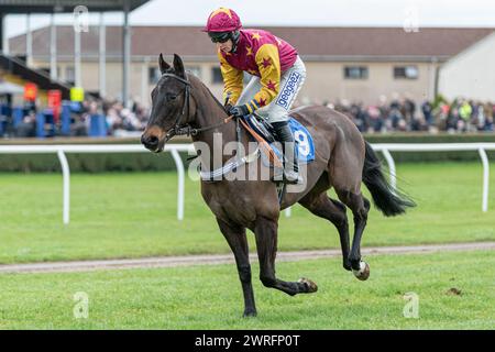 Fünfter Lauf in Wincanton, 3. Februar 2022: Die Novizen der Peckmoor Farm Lodges Stockfoto