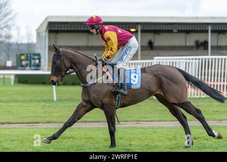 Fünfter Lauf in Wincanton, 3. Februar 2022: Die Novizen der Peckmoor Farm Lodges Stockfoto