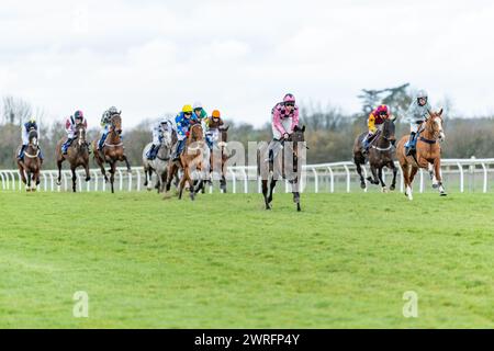 Fünfter Lauf in Wincanton, 3. Februar 2022: Die Novizen der Peckmoor Farm Lodges Stockfoto