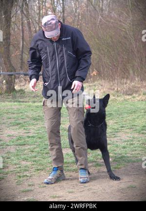 Deutscher Schäferhund mit seinem Besitzer während eines Gehorsamstrainings Stockfoto