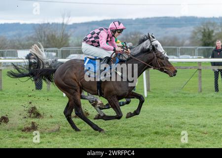 Fünfter Lauf in Wincanton, 3. Februar 2022: Die Novizen der Peckmoor Farm Lodges Stockfoto