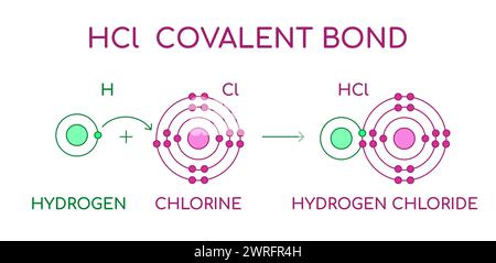 Kovalente Bindung von HCl-Hydrogenchlorid. Zweiatomiges Molekül, bestehend aus einem Wasserstoffatom H und einem Chloratom Cl. Salzsäure im flüssigen Zustand. Stock Vektor