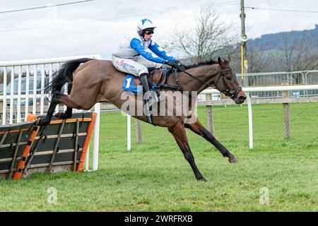 Rennen 6 in Wincanton, 3. Februar 2022 Stockfoto