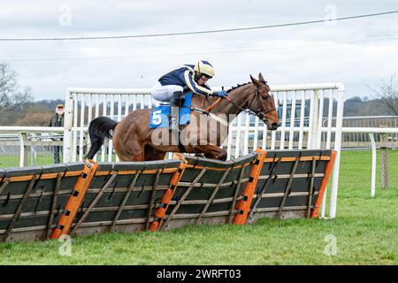 Rennen 6 in Wincanton, 3. Februar 2022 Stockfoto