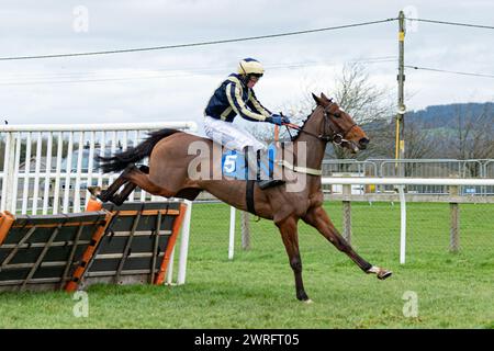 Rennen 6 in Wincanton, 3. Februar 2022 Stockfoto