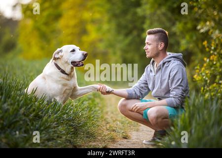 Glücklicher Mann mit Hund in der Natur am sonnigen Sommertag. Niedlicher gelber labrador-Retriever, der seinem Haustierbesitzer Pfoten gibt. Stockfoto