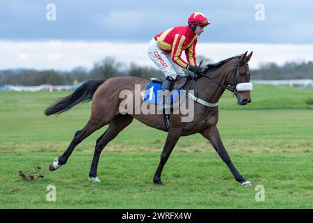 Mares' Open National Hunt Flat Rennen in Wincanton, 3. Februar 2022 Stockfoto