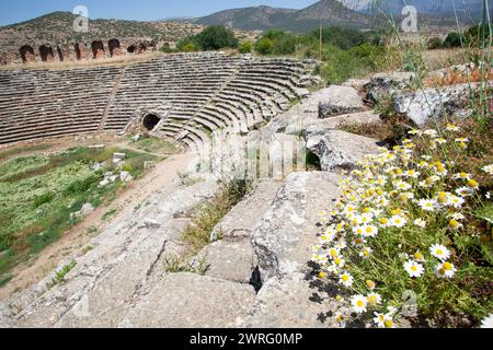 Aphrodisias-Stadion. Historische archäologische Stätte. Afrodisias (Aphrodisias) antike Stadt in Karacasu - Aydin, Türkei. Stockfoto