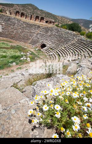 Aphrodisias-Stadion. Historische archäologische Stätte. Afrodisias (Aphrodisias) antike Stadt in Karacasu - Aydin, Türkei. Stockfoto