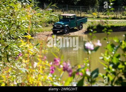 20/09/19 einer von zwei FJ Land Cruisers, die 1975 von Toyota GB neu importiert wurden und in Sussex für £ 73.000 + MwSt. verkauft werden. Alle Rechte vorbehalten: F Stop Press Ltd Stockfoto