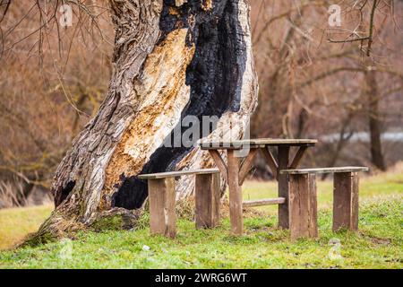 Ein hölzerner Picknicktisch und Bänke befinden sich im Schatten eines Baumes in einem Park, umgeben von üppigem grünem Gras und einer natürlichen Landschaft mit hohem Tre Stockfoto