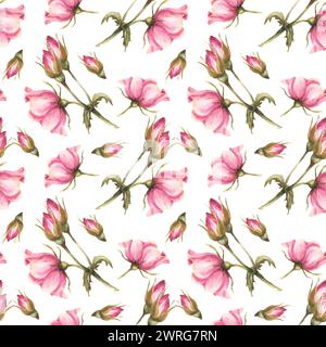 Hagebuttenzweig in Aquarellrosa mit Knospen, Blüten und Blättern, Hund oder brier Rose im Blüten. Nahtloses botanisches Blumenmuster für Stoffdruck Stockfoto