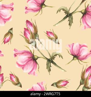 Hagebuttenzweig in Aquarellrosa mit Knospen, Blüten und Blättern, Hund oder brier Rose im Blüten. Nahtloses botanisches Blumenmuster für Stoffdruck Stockfoto