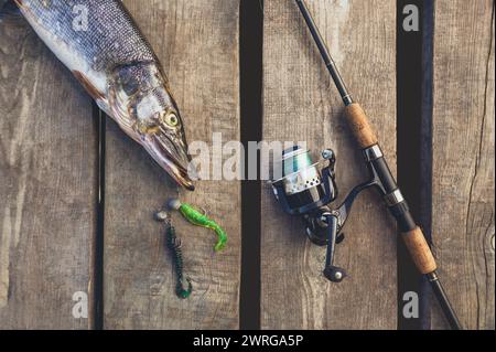 Gefangen von Süßwasserfischen - ein Hecht, der nahe der Spinnung auf der Holzbrücke am Fluss liegt. Stockfoto