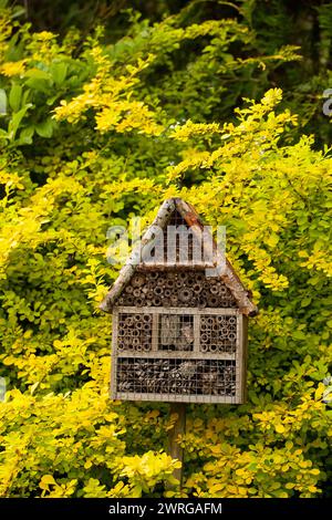 Ein Insektenhaus ist ein Hotel für Insekten, das im Sommergarten zwischen den Blumen Schutz bietet Stockfoto