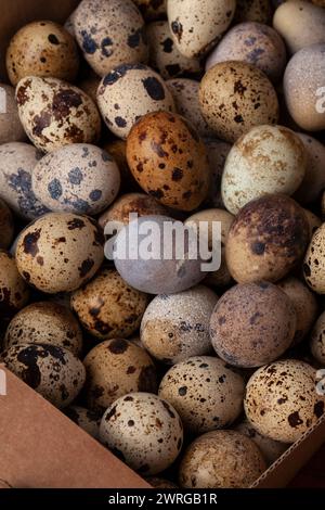 Schöne, bunte, frische Wachteleier in einem Karton Stockfoto