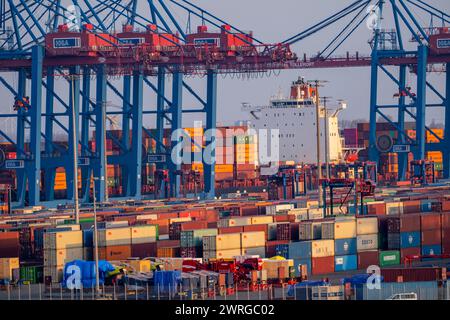 Containerterminal Tollerort, Containerschiffe werden be- und entladen, einer von 4 Containerterminals im Hamburger Hafen Stockfoto