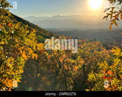 Sonnenuntergang über Bell's Canyon in der Nähe von Granite Trailhead, Salt Lake County, Utah, USA Stockfoto