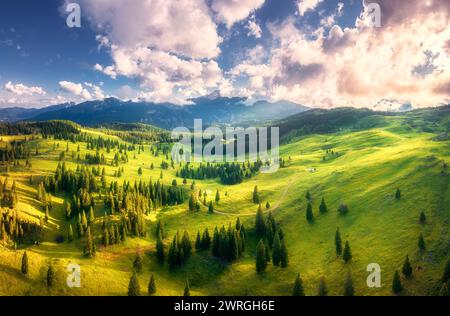 Luftaufnahme von grünen Bergwiesen auf den Hügeln bei Sonnenuntergang Stockfoto