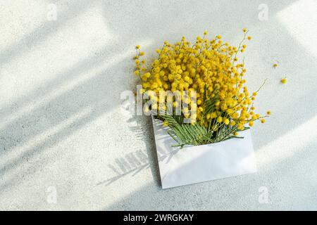 Blick von oben auf einen Haufen gelber Mimosa-Blüten in einem Umschlag auf einem Tisch Stockfoto