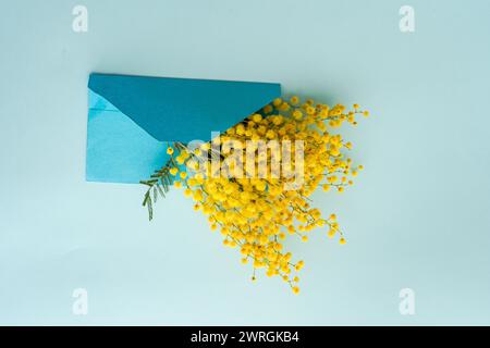 Blick von oben auf einen Haufen gelber Mimosa-Blüten in einem Umschlag auf einem Tisch Stockfoto