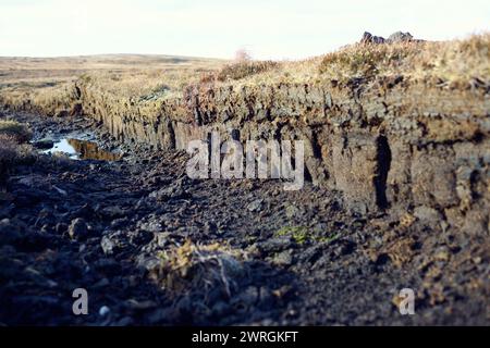 Blick auf die Torfmoore in den schottischen Highlands. Frisch geschnittener Torf aus dem Moor liegt auf dem Grasland in der Nähe von Rindern und zeigt Torfmoor-Entwässerung Stockfoto