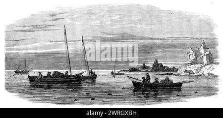 The Shellfish Supplies: Krabbenfischen vor der Fife Coast, [Schottland], 1862. „Die Maschinen zur Versorgung der ständig steigenden Nachfrage nach Hummer, Krabben und Austern sind äußerst einfach. An den meisten Teilen der britischen Küste gibt es Leute, die es sich zur Aufgabe machen, diesen Luxus des Tisches für alle zu bieten, die sie wünschen... die Fischer und ihre Familien kümmern sich um das Fangen von Krabben und Hummer in den Intervallen anderer Geschäfte... auch um das Nehmen von Muscheln gewährt den alten Männern und Jugendlichen der Fischerdörfer Beschäftigung, und diese Leute können in den schönen Tagen fleißig gesehen werden Stockfoto