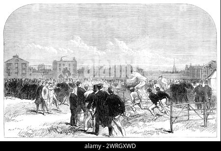 Sportliche Sportarten der Westminster Scholars auf ihrem Spielplatz, Vincent-Square, [London]: The Hürdle Race, 1864. "Die öffentliche Ausstellung dieser performances...proved, die so interessant war, dass sie eine Vielzahl von Zuschauern anziehen konnte, darunter natürlich viele Verwandte und Freunde der jungen Herren der Schule... das Programm umfasste ein flaches Rennen von 150 Metern, das allen offen stand; ein zweites Rennen, nur für kleine Jungen, und ein Rennen von 500 Yards, aber der große Wettbewerb war ein halber Kilometer Rennen mit acht Hürden, die im Ziel zu springen waren, und das wurde von Mr. F. Giles, Mr. Luca, gewonnen Stockfoto