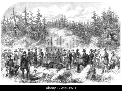 Besuch des Prinzen und der Prinzessin von Wales in Schweden: elk-Shooting im Wald von H&#xf6;gtorp - nach einer Skizze unseres besonderen Künstlers, 1864. Der zukünftige König Eduard VII. In Skandinavien. Der Ort war halbkreisförmig und merkwürdigerweise an ein Amphitheater erinnert. Steinklumpen bestreuten sich über die Indosure, zwischen und um die ein verworrenes Wachstum von Farnwaldgras entstand; Birken- und Lärchenhaine waren die nächsten Bäume, dahinter ein aufsteigender Hintergrund von Felsen, gekrönt von dunklen und spitzen Tannen. In der Mitte lag der Preis, groß wie ein Ochse, und mit ausgestreckten Gliedmaßen schon steif, t Stockfoto