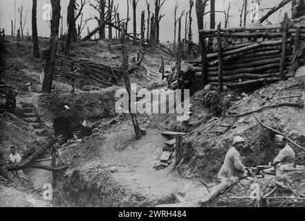 Das Holz hieß des Fermes in der Somme, zwischen 1915 und 1920. Zeigt ein Schlachtfeld mit Gräben und toten Bäumen in der Somme, Frankreich während des Ersten Weltkriegs Stockfoto
