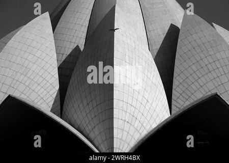 Fragment des berühmten Bahai-Tempels (Lotus-Tempel) in Delhi, Indien Stockfoto