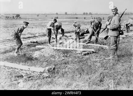 Englische Gefangene bei Doberitz, zwischen 1914 und 1915. Englische Kriegsgefangene, die während des Ersten Weltkriegs auf Feldern in der Nähe des Kriegsgefangenenlagers in Do&#xa8;beritz (heute Dallgow-Do&#xa8;beritz) arbeiten Stockfoto