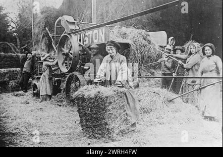 Frauen in England, zwischen 1915 und 1918. Frauen, die in England während des Ersten Weltkriegs auf einem Feld mit Heu arbeiten Stockfoto