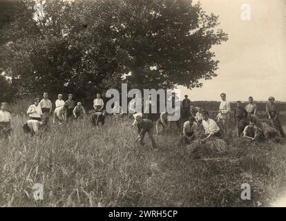 Jüdisches Pädagogisches College und landwirtschaftliche Schule - bei Feldarbeit / Gerste wird erntet, Minsk, 1922-1923. Zu Beginn der Stalin-Ära errichtete der Kreml ein neues Verwaltungsgebiet im sowjetischen Fernen Osten, die jüdische Autonome Region, um als jüdische Heimat zu dienen. Die Hauptstadt der Region war die Stadt Birobidzhan. Dieses Album enthält 274 Fotografien aus den frühen Jahren von Birobidzhan, beginnend in den späten 1920er Jahren Nationalbibliothek von Russland Stockfoto