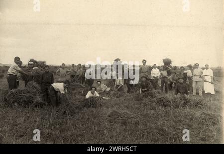 Jüdische Pädagogische Hochschule und Landwirtschaftsschule - bei Feldarbeit/Ernte, Minsk, 1922-1923. Zu Beginn der Stalin-Ära errichtete der Kreml ein neues Verwaltungsgebiet im sowjetischen Fernen Osten, die jüdische Autonome Region, um als jüdische Heimat zu dienen. Die Hauptstadt der Region war die Stadt Birobidzhan. Dieses Album enthält 274 Fotografien aus den frühen Jahren von Birobidzhan, beginnend in den späten 1920er Jahren Nationalbibliothek von Russland Stockfoto