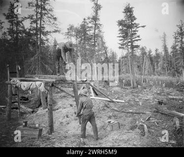 Sägen eines Baumstamms, 1916. Stockfoto