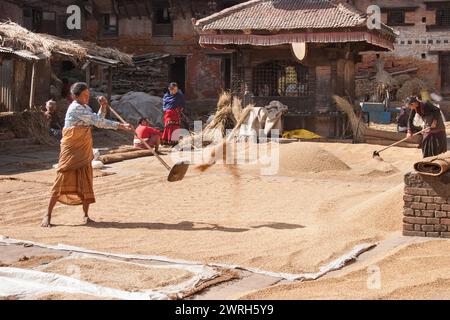 KATHMANDU, NEPAL - 6. NOVEMBER 2006: Unbekannte Frau, die Getreide auf der Straße in Kathmandu, Nepal, droschen. Stockfoto